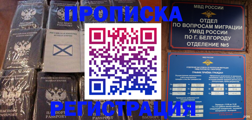 прописка гарантия в Кингисеппе